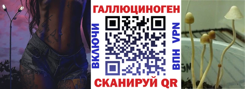 кракен tor Прокопьевск Галлюциногенные грибы MAGIC MUSHROOMS